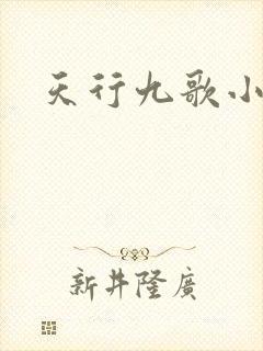 天行九歌小说