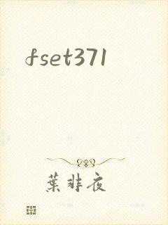 fset371