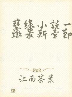 孽缘小说一家乱炖最新章节阅读