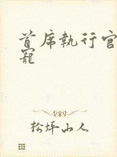 首席执行官的绝宠