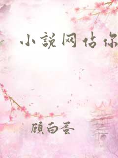 小说网站你懂的