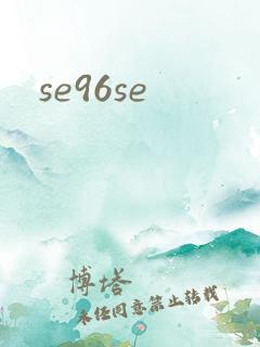 se96se