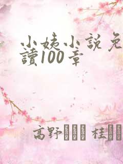小姨小说免费阅读100章