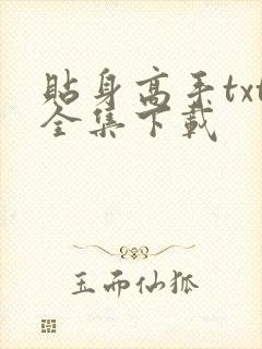 贴身高手txt全集下载