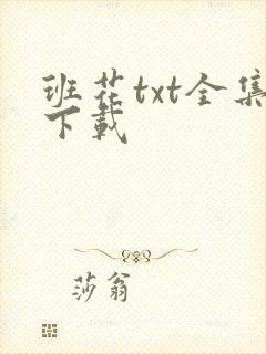 班花txt全集下载