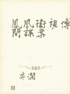 凤凰卫视傅晓田间谍案