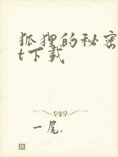 狐狸的秘密txt下载