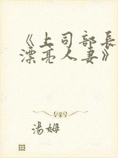 《上司部长出轨漂亮人妻》