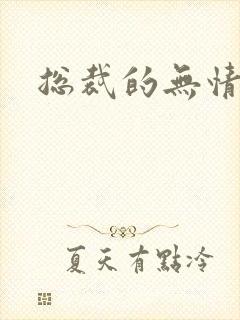 总裁的无情游戏