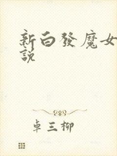 新白发魔女传小说