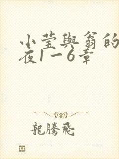 小莹与翁的销魂夜1一6章