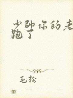 少帅你的老婆又跑了