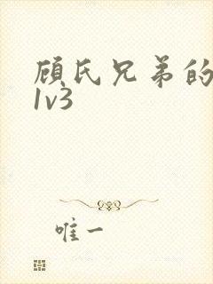 顾氏兄弟的南宁1v3