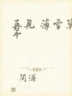 再见 薄雪草少年