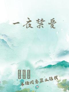 一夜禁爱