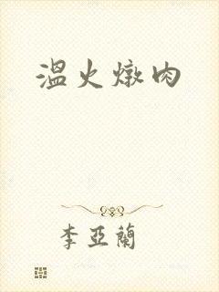温火炖肉