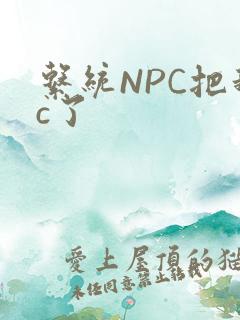 系统NPC把我c了