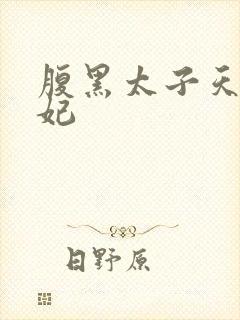 腹黑太子天降萌妃