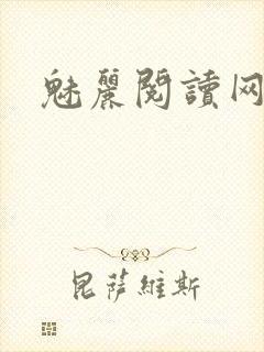 魅丽阅读网