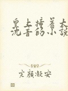 皇上撞着太子妃沈音的小说叫什么