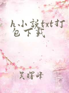 h小说txt打包下载