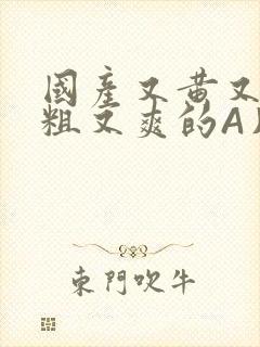 国产又黄又猛又粗又爽的A片小说