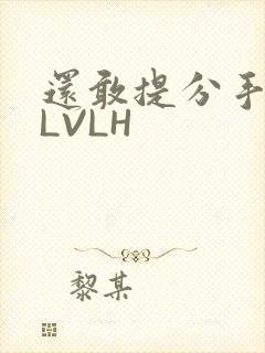 还敢提分手吗嗯LVLH