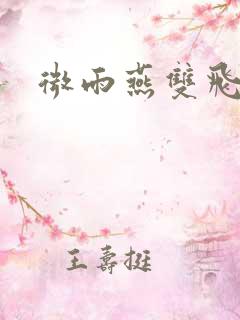 微雨燕双飞小说