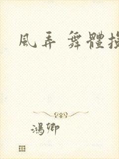 风弄 舞体投递