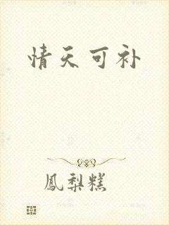 情天可补