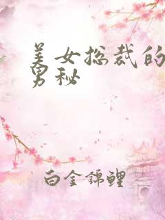 美女总裁的贴身男秘