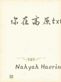 你在高原txt