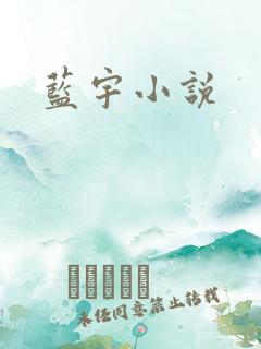 蓝宇小说