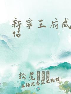 新宁王府成人网站