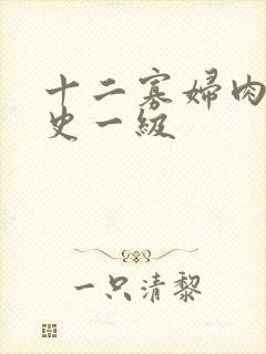 十二寡妇肉床艳史一级