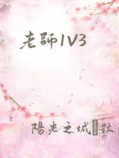 老师1V3