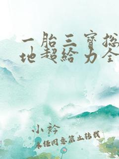 一胎三宝总裁爹地超给力全文免费阅读