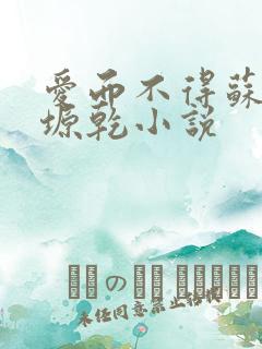 爱而不得苏路顾塬乾小说