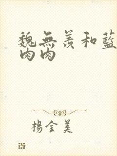 魏无羡和蓝忘机肉肉