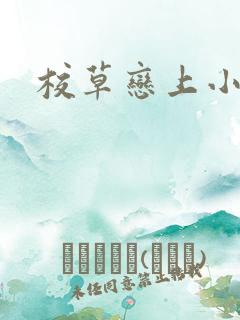 校草恋上小丫头