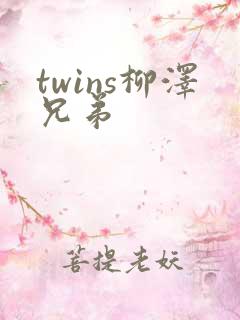 twins柳泽兄弟