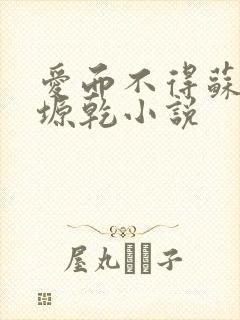 爱而不得苏路顾塬乾小说