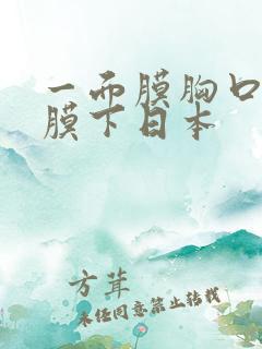 一面膜胸口一面膜下日本