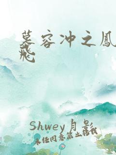 慕容冲之凤凰于飞