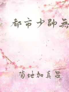 都市少帅无弹窗