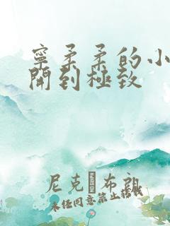 宁柔柔的小泬撑开到极致