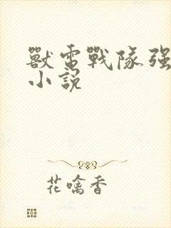 兽电战队强龙者小说