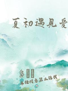 夏初遇见爱