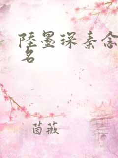 陆墨琛秦念小说名