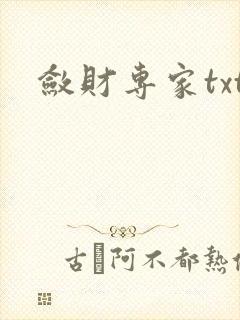 敛财专家txt